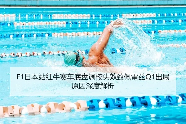 ri-ben-zhan-hong-niu-sai-che-di-pan-diao-xiao-shi-xiao-zhi-pei-lei-zi-chu-ju-yuan-yin-shen-du-jie-xi-2-771.jpg